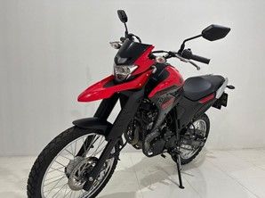 Yamaha XTZ 250 LANDER Flex 2024